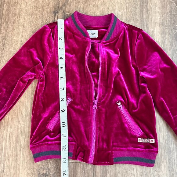Hudson Pink Velour Infant Girl Track Jacket Full-Zip Baby Size 24M - Picture 5 of 10